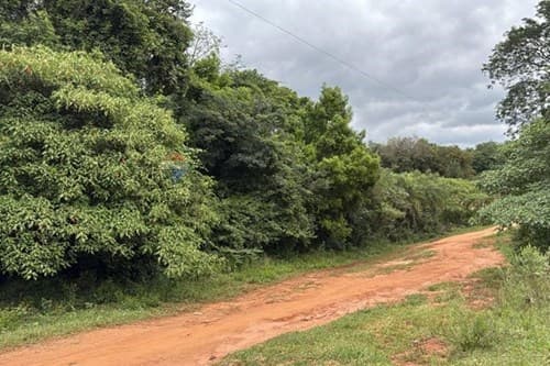 Terreno en Caacupé: un inversion — foto 4