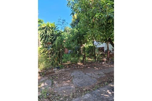 terreno en una zona Privilegiada de Asunción — foto 5