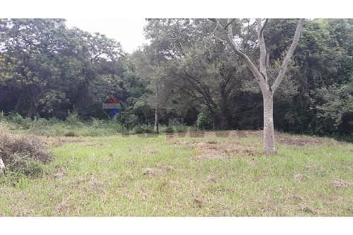 Terreno .Zarate Isla. Luque — foto 2