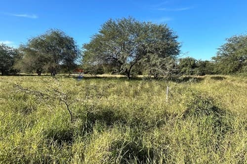 Lotes Comerciales– Cruce Boquerón, Loma Plata, foto 4