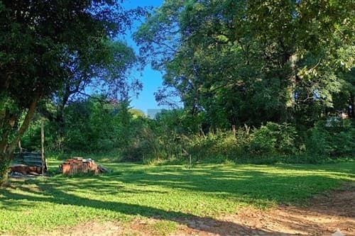 Terreno en Luque - isla bogado — foto 5