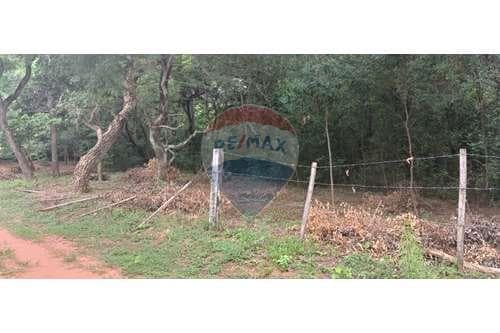 Terreno de Ensueño en Costa Pacú, Caacupé — foto 3