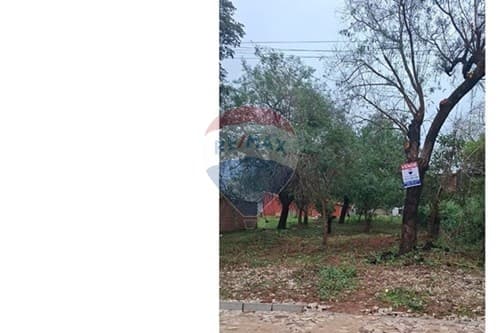 ¡Venta Terreno en Loma Merlo, Luque! — foto 5