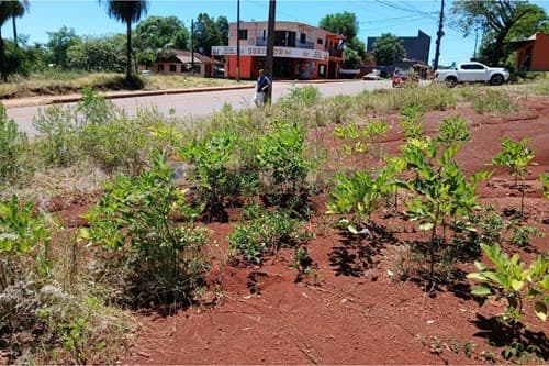 de Propiedad, foto 3