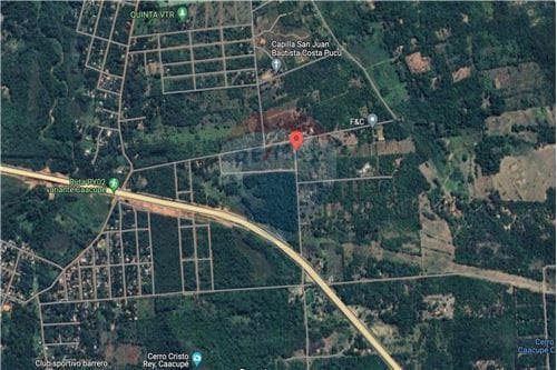 Terreno 5.000 m2 a 350 metros de Ruta 2 - Caacupe — foto 2