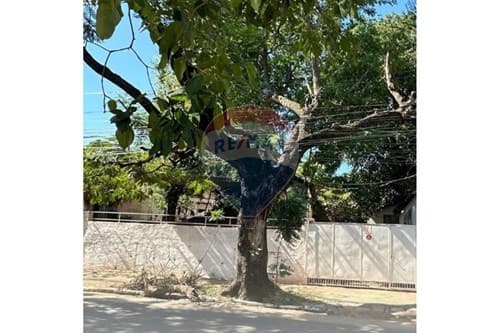 Vendo Terreno sobre la Avda Brasilia