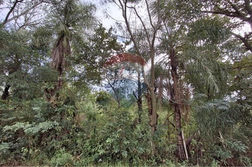 Terreno en santa elena cordillera — foto 5