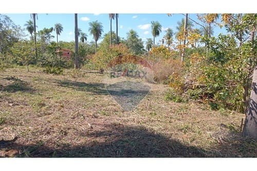 Terreno de tus sueños en loma grande
