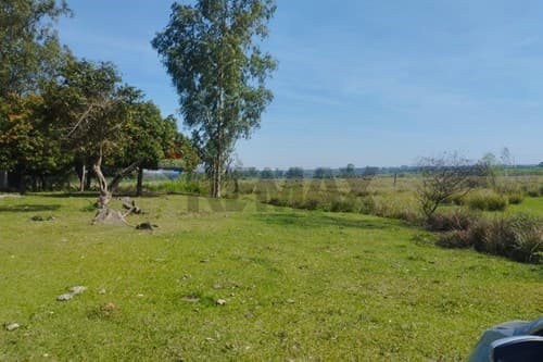 20HAS en Arroyos y Esteros! — foto 5