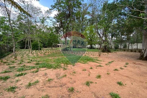 Propiedad 4,238 m2 Zona Anfiteatro San Bernardino, foto 4