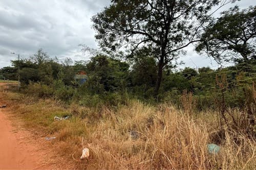 Terreno en venta en Coronel Oviedo, foto 4