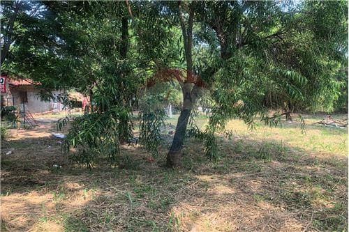 Terreno inmediaciones del puente remanso — foto 2