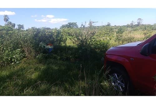 De terreno, foto 4
