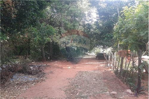 Terreno en la ciudad de limpio barrio isla aveiro — foto 4