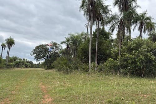 Oferta de terreno en Caacupé, ¡Descubrí!