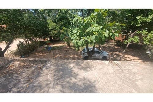 Terreno en loma pyta — foto 5