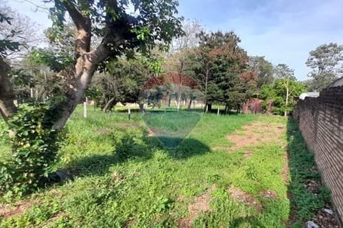 Terreno en remanso - Villa Elisa — foto 2