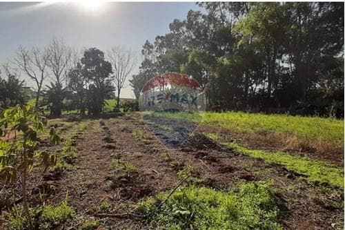 Amplia propiedad en venta sobre ruta 6ta