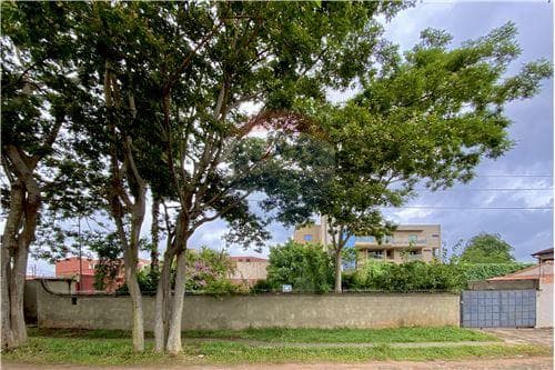 Amplio terreno teniente zotti y de las palmeras — foto 1