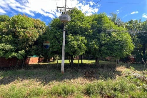 2 terrenos juntos en ypane- bo san antonio — foto 4