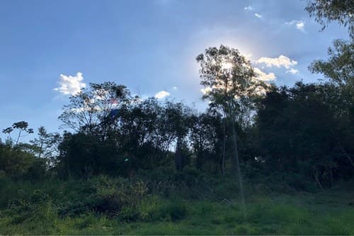 Terreno en san juan del parana — foto 3
