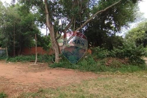 En venta terreno en laurelty Luque de 593 m2