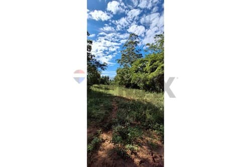 Terreno en Limpio, foto 2