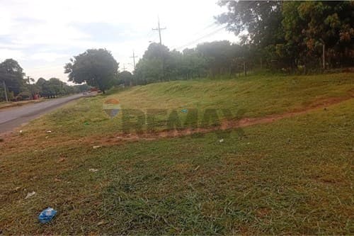 Terreno de 4 ha en guayaibi - san pedro, foto 1