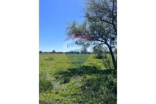 Terreno de 41.529 m2 en Nueva Asunción — foto 2