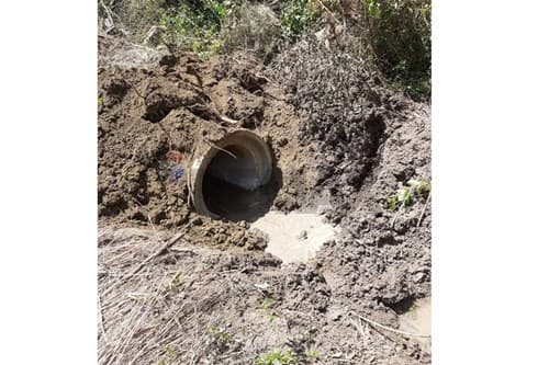 Ubicación estratégica: 11 ha con agua y bosque — foto 2