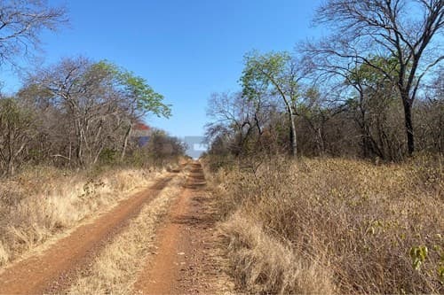 Campo en venta – 2.017 ha. en Bahía Negra — foto 4