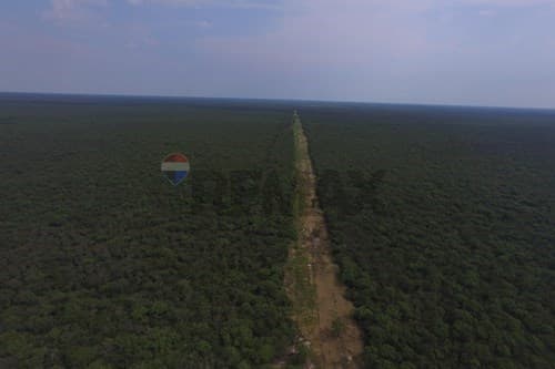 Excelente oportunidad Campo virgen Chaco Paraguayo — foto 2