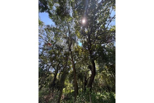 Terreno en San Bernardino