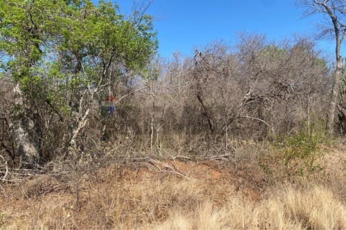 Campo en venta – 2.017 ha. en Bahía Negra — foto 3