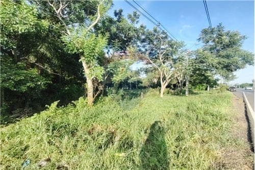 Terreno Sobre Acceso Sur — foto 2
