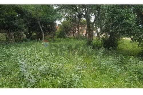 Terreno nueva colombia — foto 3
