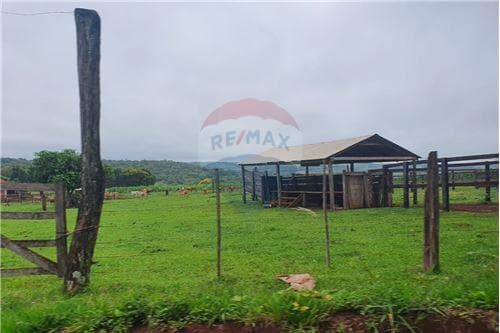161 hts. De campo, mecanizado, bosque y piquete — foto 3