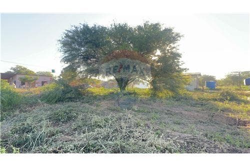 Terreno Comercial en Filadelfia, foto 3