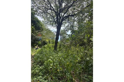 Oprtunidad de inversion terreno MRA — foto 4