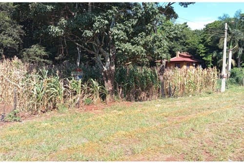 Terreno Estratégico en Hernandarias, foto 2