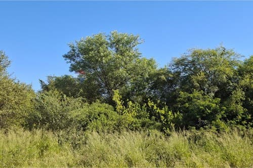 Terreno en Filadelfia en venta — foto 3