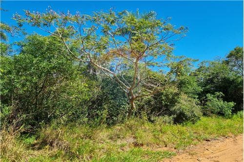 Terreno en venta en Caacupé — foto 2