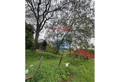 Terreno en Lambaré – ubicación estratégica, foto 5