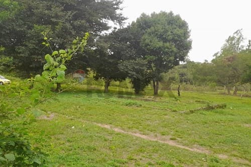 amplio terreno en Ypané, foto 5