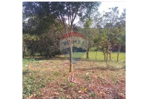 Terreno en venta – Ciudad del Este, Km 6 Monday