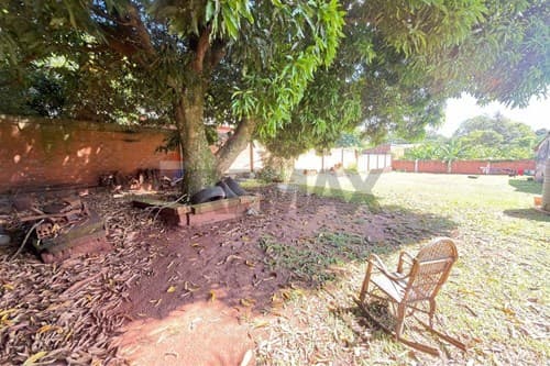 De terreno - obligado — foto 3