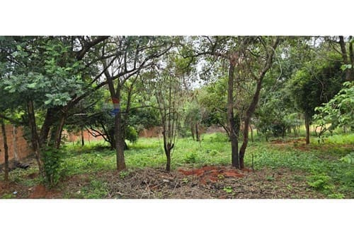 Terreno en venta - Luque, barrio zarate isla — foto 5