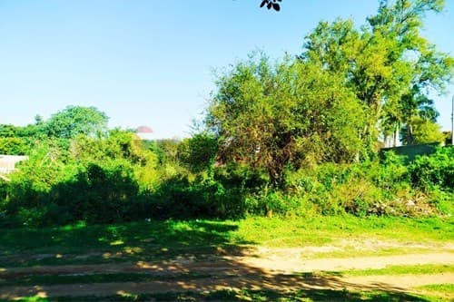En Venta 3 Lotes junto Fraccion El Peñon Limpio, foto 5