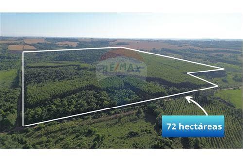 72 Hectáreas en venta en el Distrito de Trinidad — foto 3