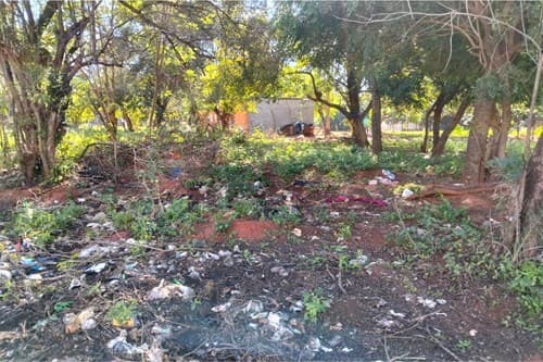 Terreno en Limpio, Zona Don Bosco, foto 3
